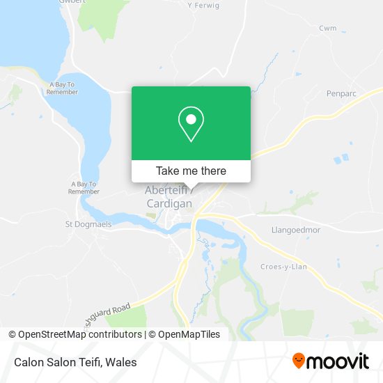 Calon Salon Teifi map