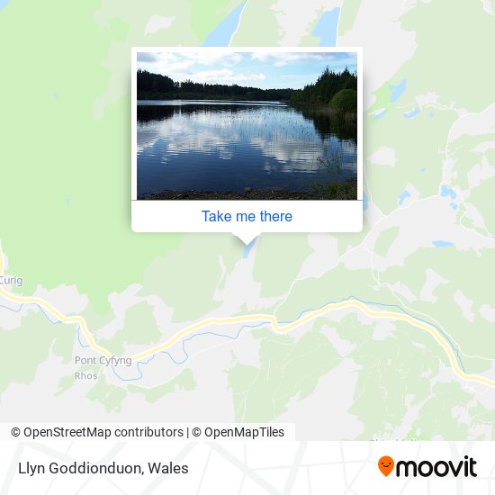 Llyn Goddionduon map