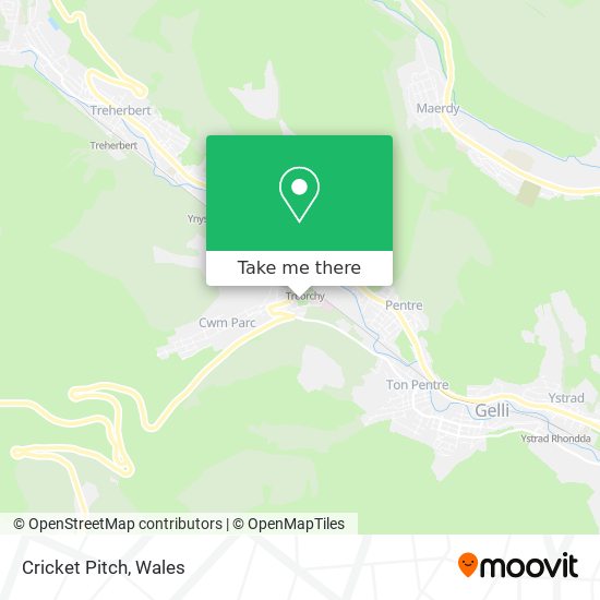 Cricket Pitch map