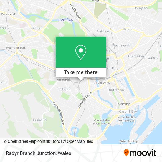 Radyr Branch Junction map