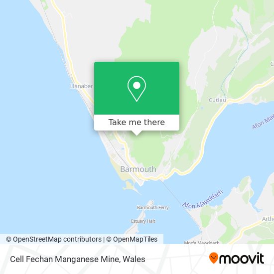 Cell Fechan Manganese Mine map