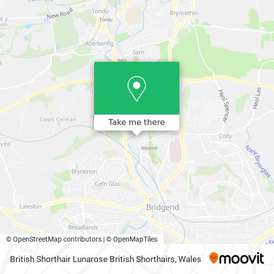 British Shorthair Lunarose British Shorthairs map