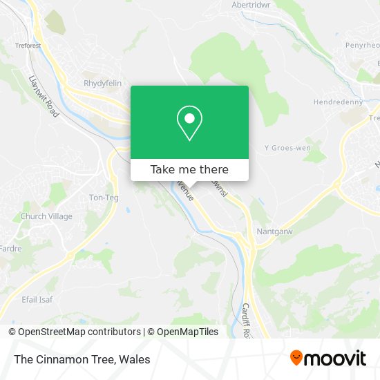 The Cinnamon Tree map