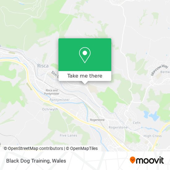 Black Dog Training map