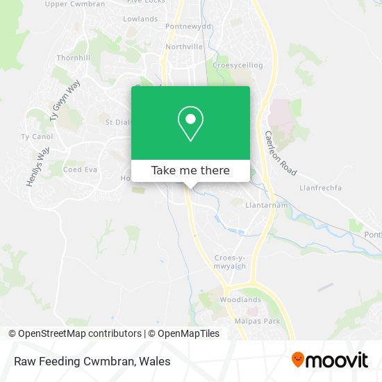 Raw Feeding Cwmbran map