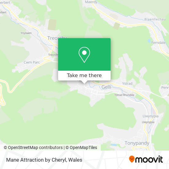 Mane Attraction by Cheryl map