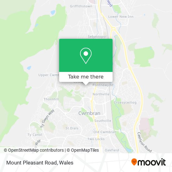 Mount Pleasant Road map