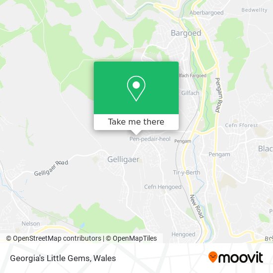 Georgia's Little Gems map