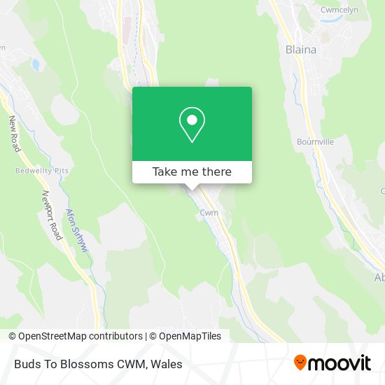 Buds To Blossoms CWM map