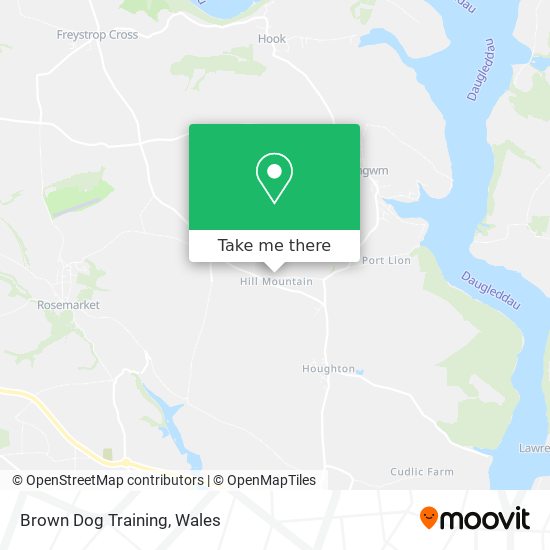 Brown Dog Training map