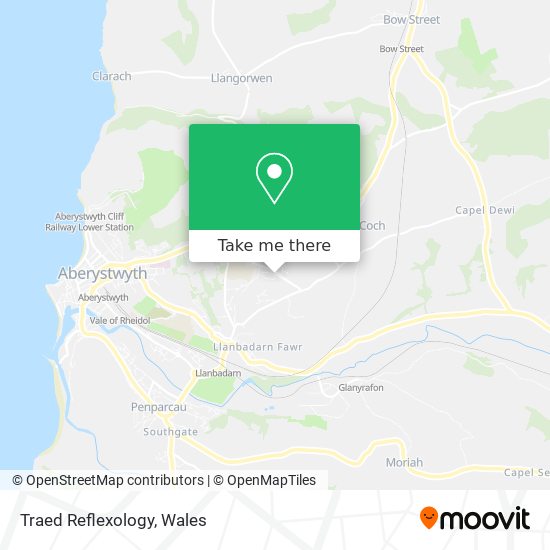 Traed Reflexology map