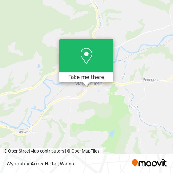 Wynnstay Arms Hotel map