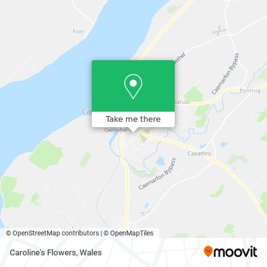 Caroline's Flowers map