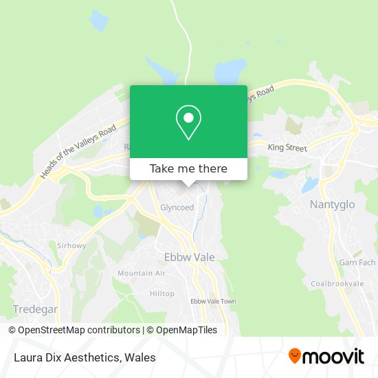 Laura Dix Aesthetics map