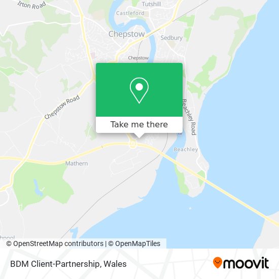 BDM Client-Partnership map