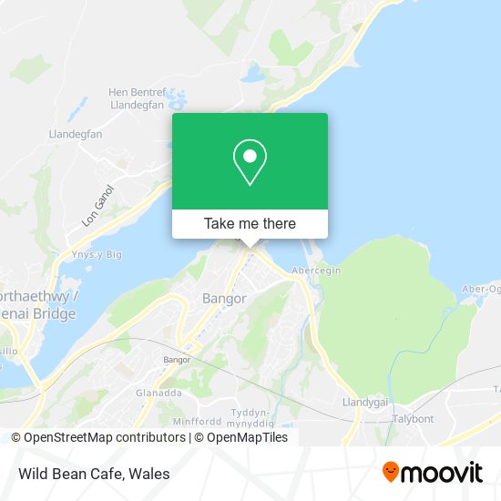 Wild Bean Cafe map