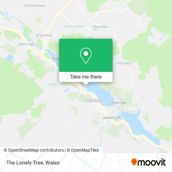 The Lonely Tree map
