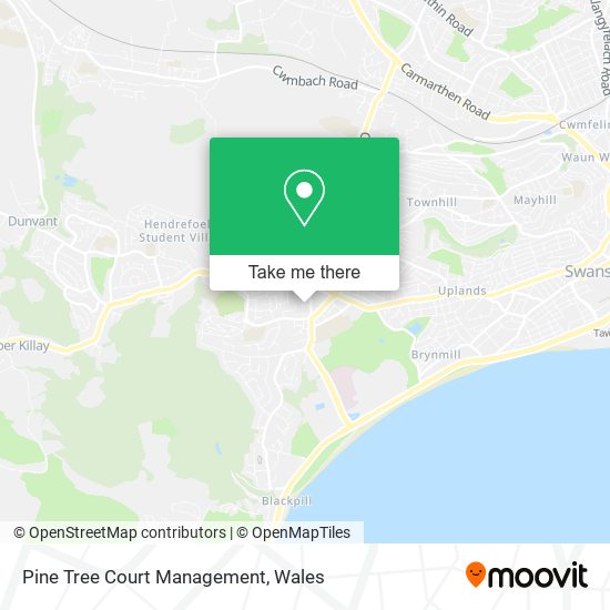 Pine Tree Court Management map