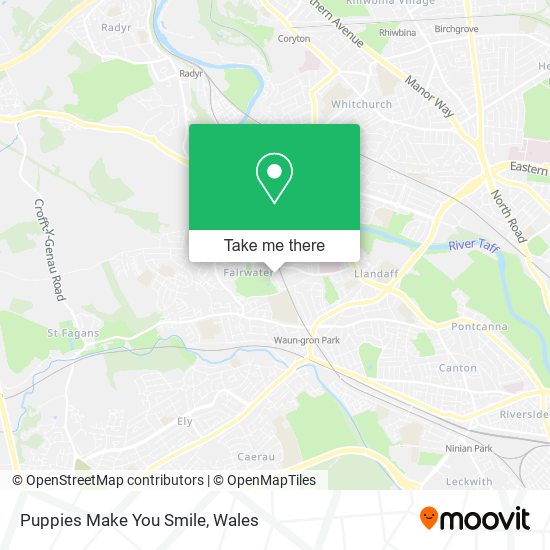 Puppies Make You Smile map