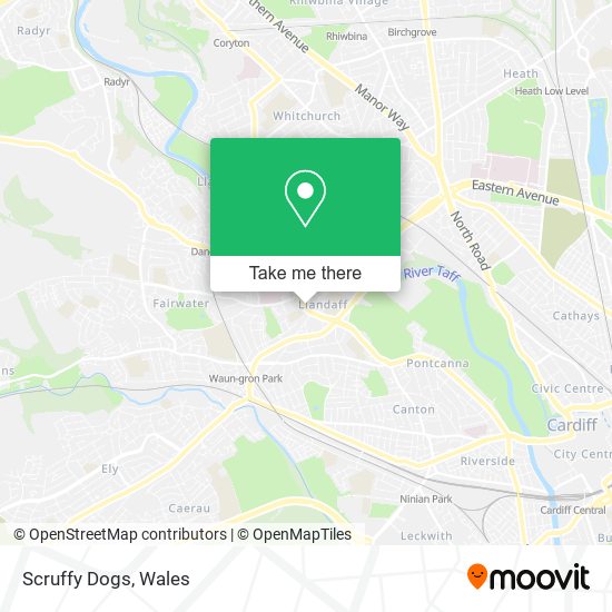 Scruffy Dogs map