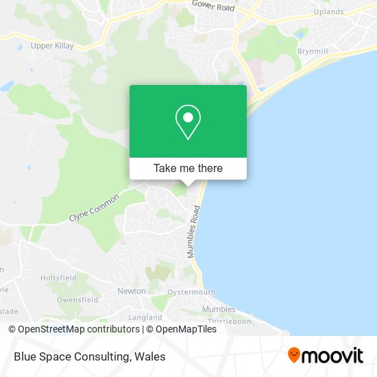 Blue Space Consulting map