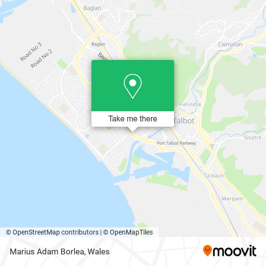 Marius Adam Borlea map