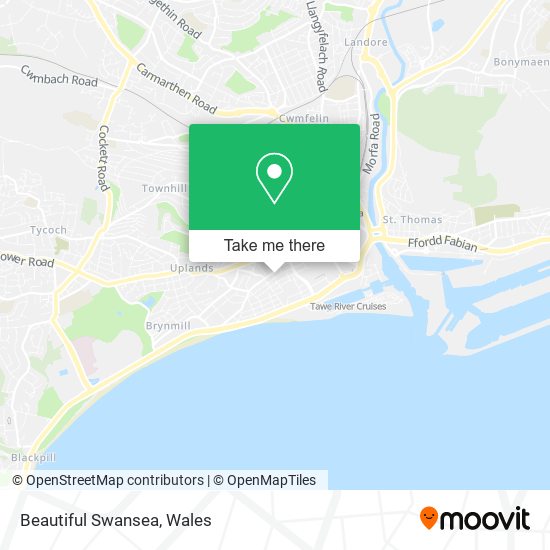 Beautiful Swansea map