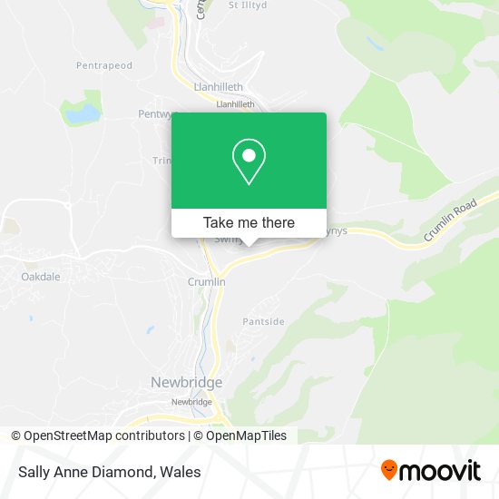 Sally Anne Diamond map