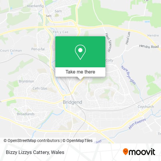 Bizzy Lizzys Cattery map