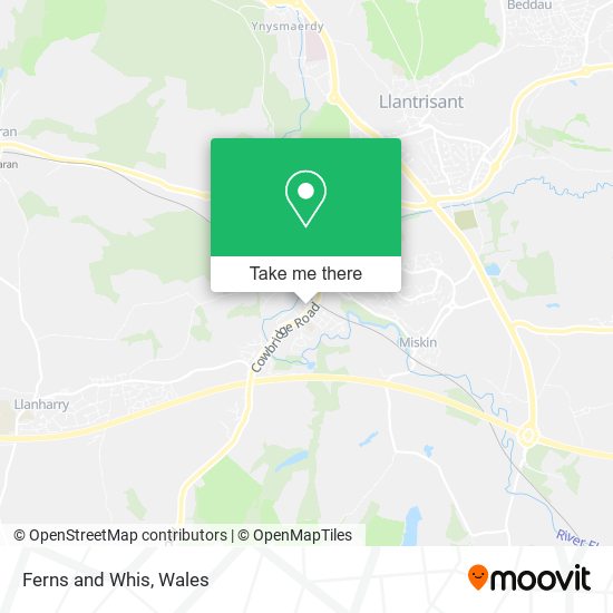 Ferns and Whis map