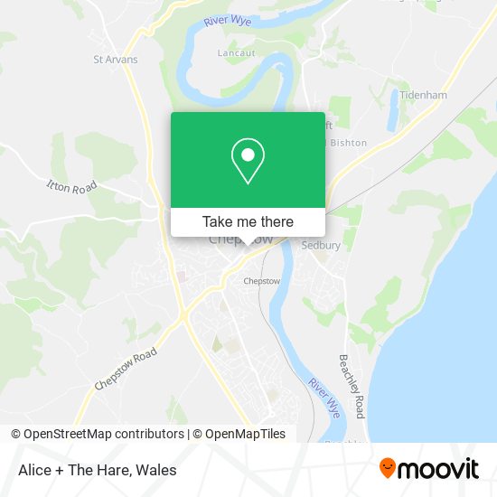 Alice + The Hare map