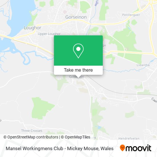 Mansel Workingmens Club - Mickey Mouse map