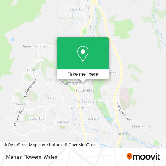Maria's Flowers map