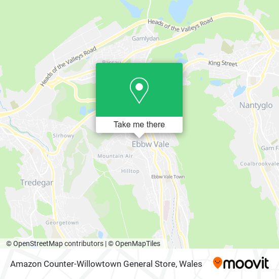 Amazon Counter-Willowtown General Store map