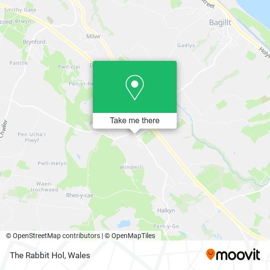 The Rabbit Hol map