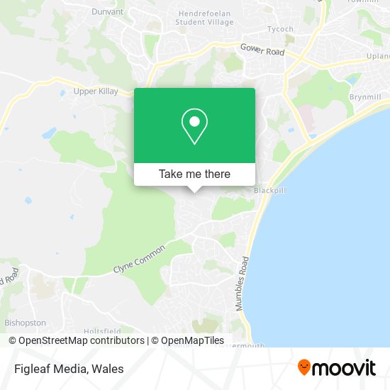 Figleaf Media map