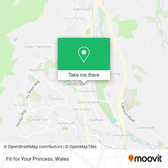 Fit for Your Princess map