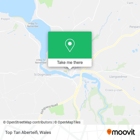 Top Tan Aberteifi map