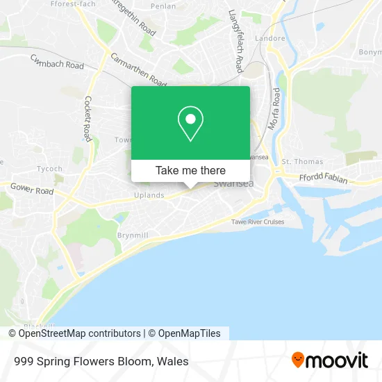 999 Spring Flowers Bloom map
