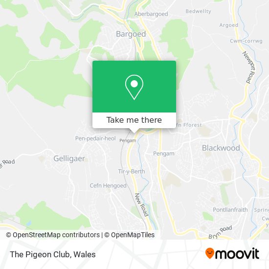 The Pigeon Club map