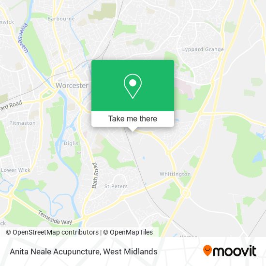 Anita Neale Acupuncture map