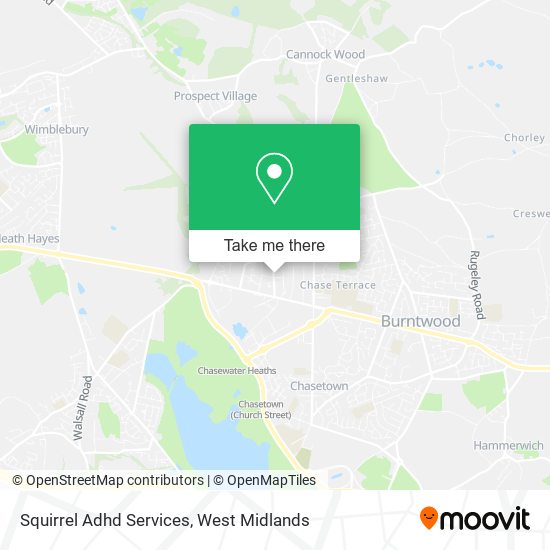 Squirrel Adhd Services map