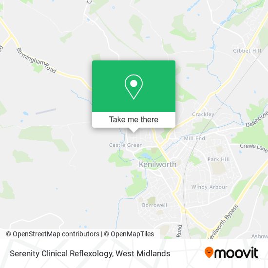 Serenity Clinical Reflexology map