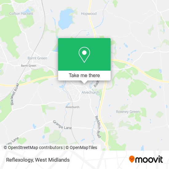 Reflexology map