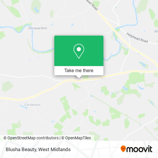 Blusha Beauty map