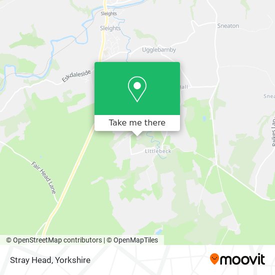 Stray Head map