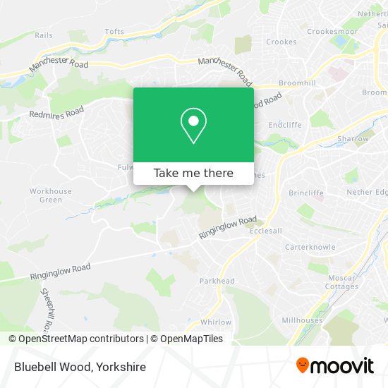 Bluebell Wood map