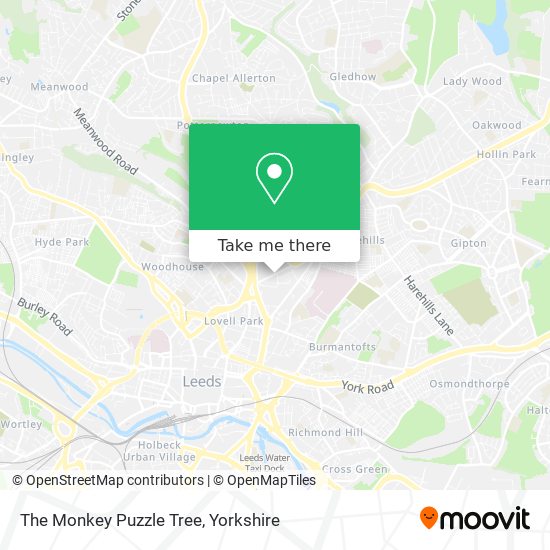 The Monkey Puzzle Tree map