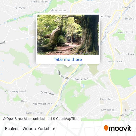 Ecclesall Woods map