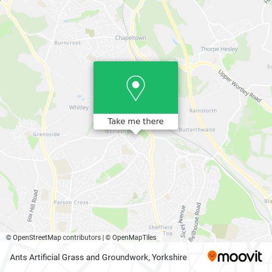 Ants Artificial Grass and Groundwork map